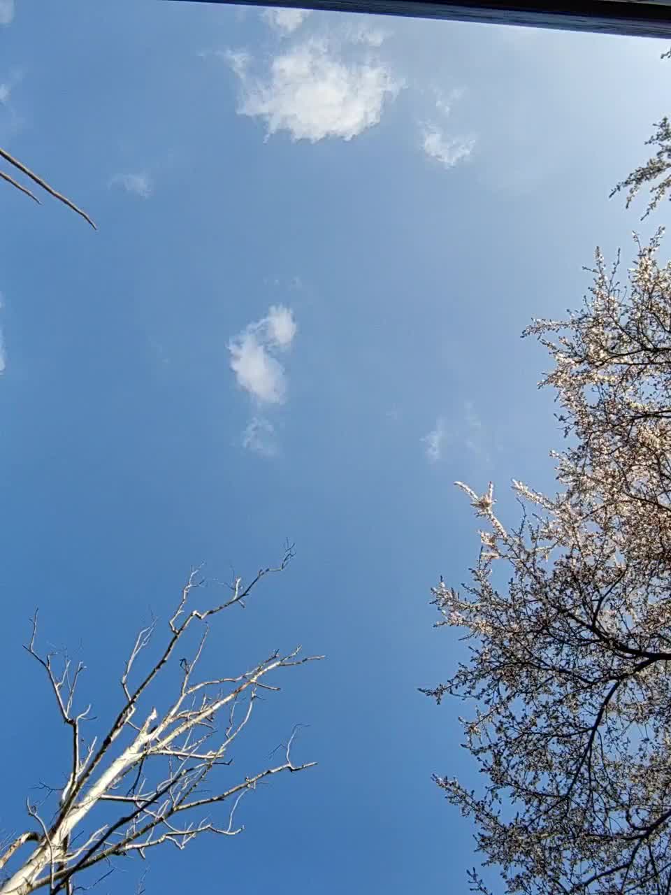 View or download file janna37 on 2023-03-25 from bongacams