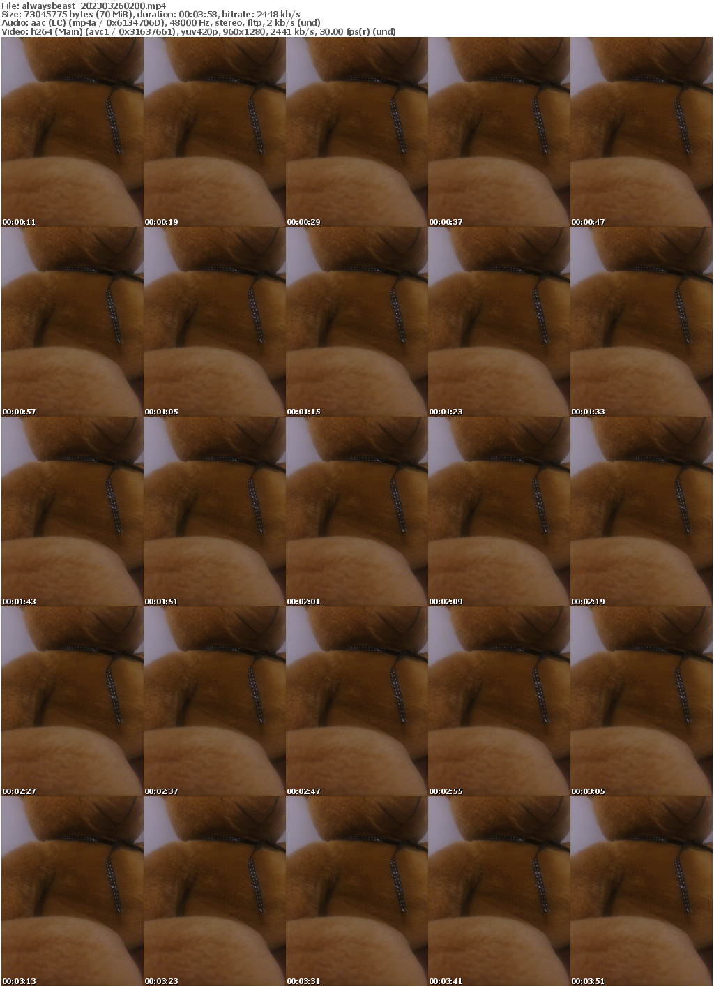 Preview thumb from alwaysbeast on 2023-03-26 @ bongacams