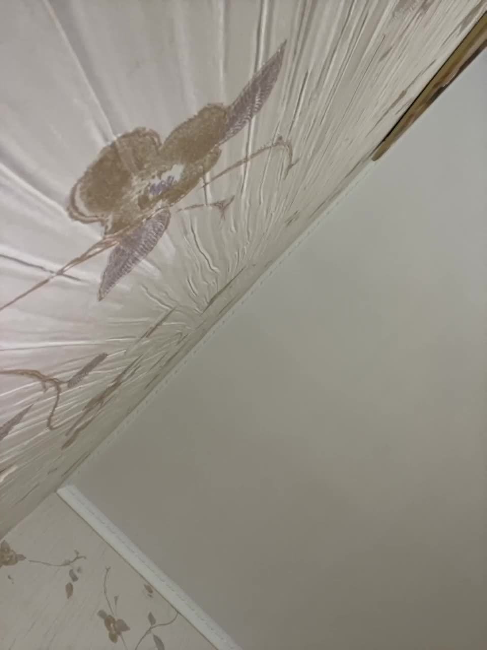 View or download file kirablake on 2023-03-26 from bongacams