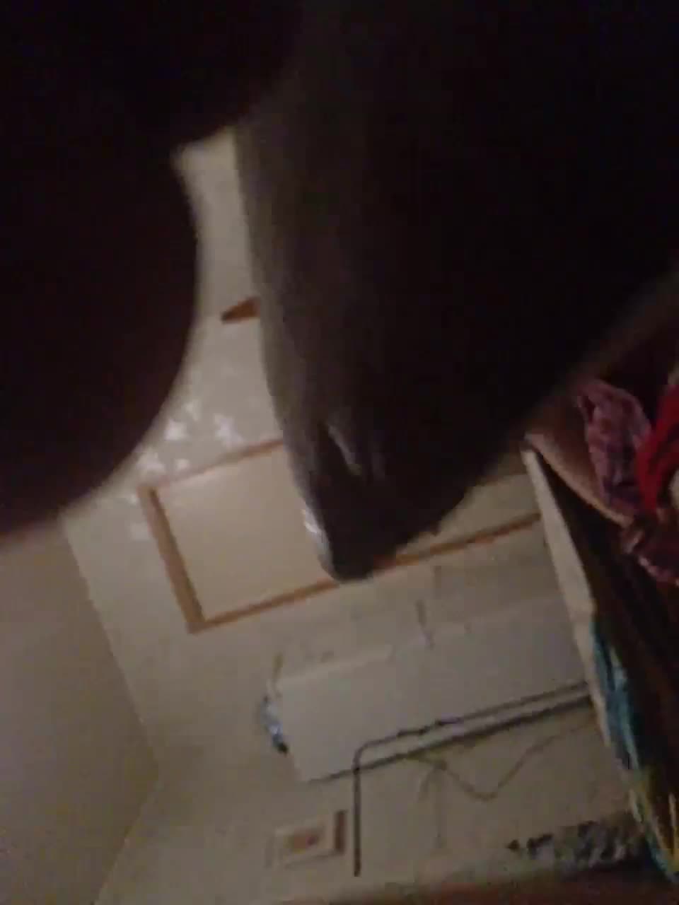 View or download file malvina13666flint on 2023-03-27 from bongacams