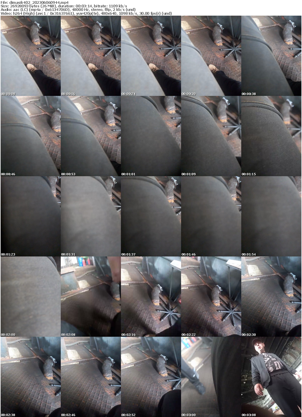 Preview thumb from dimasik402 on 2023-06-06 @ bongacams