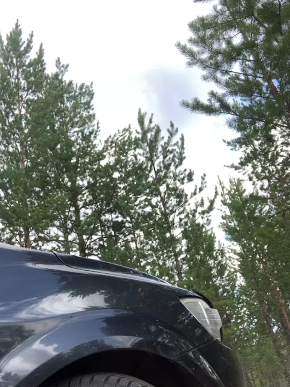 View or download file murkalux on 2023-06-06 from bongacams