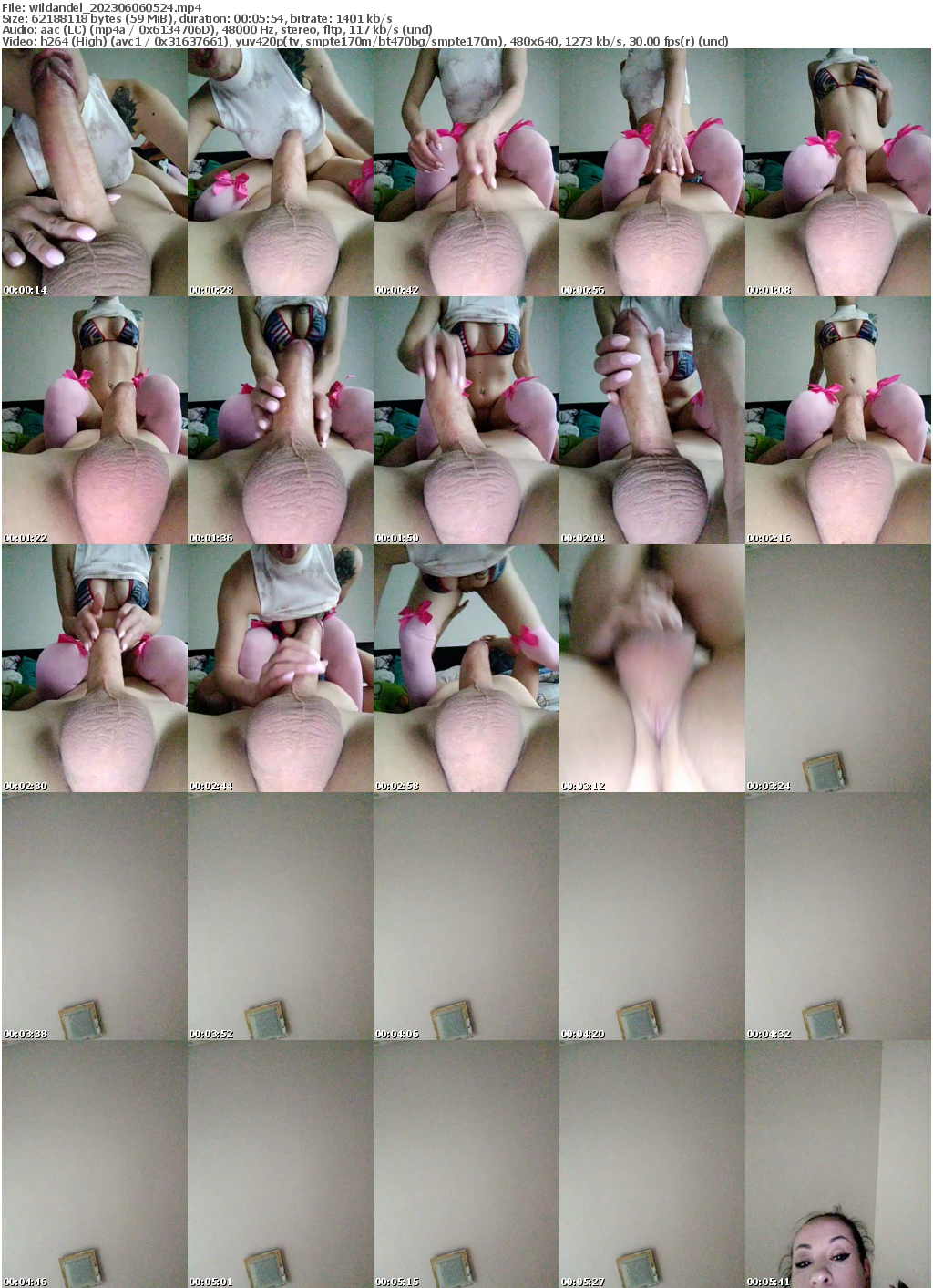 Preview thumb from wildandel on 2023-06-06 @ bongacams