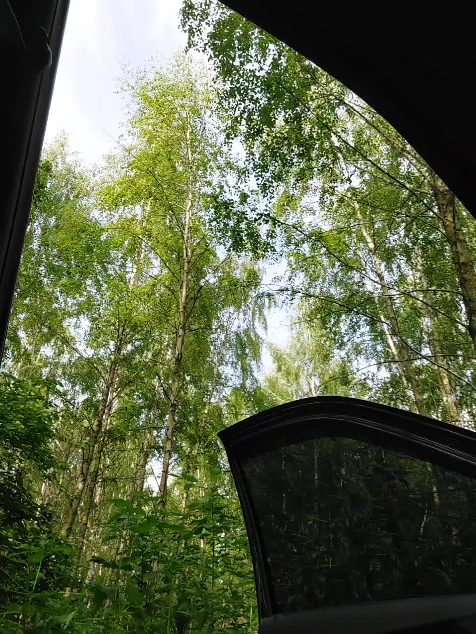 View or download file milasavory on 2023-06-08 from bongacams