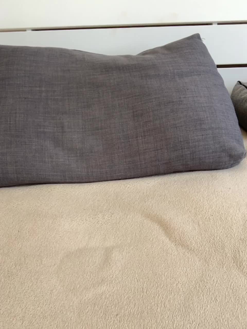 View or download file torysexs on 2023-06-08 from bongacams