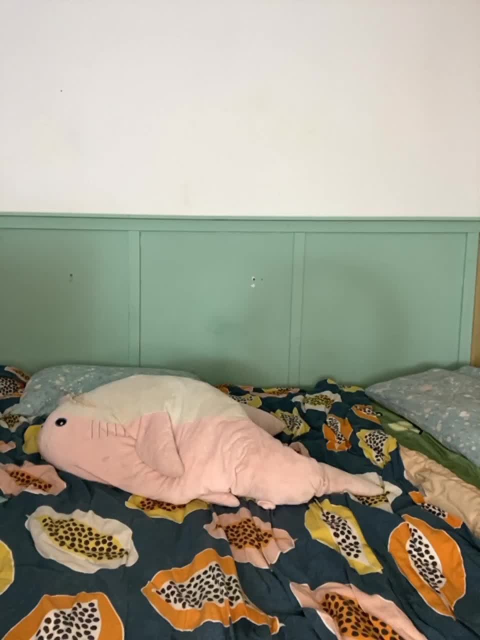 View or download file hiboys on 2023-06-11 from bongacams