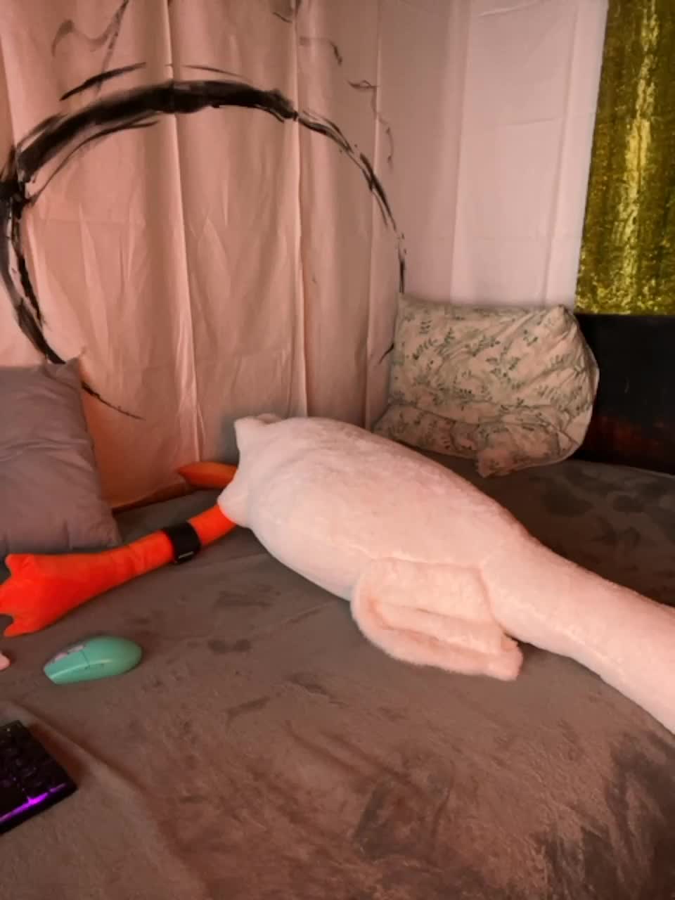 View or download file milkssweeet on 2023-06-12 from bongacams