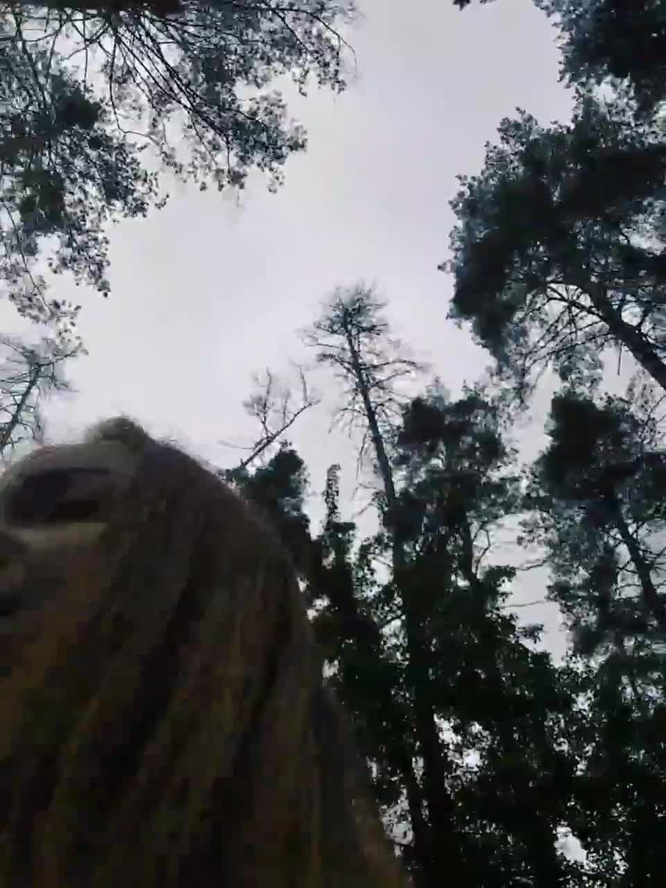 View or download file normanmash on 2023-06-13 from bongacams