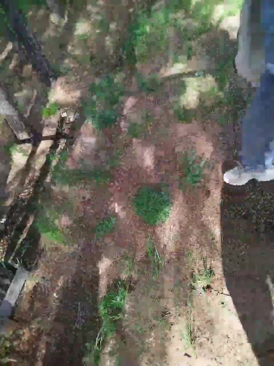 View or download file sexcouplenumber1 on 2023-06-13 from bongacams