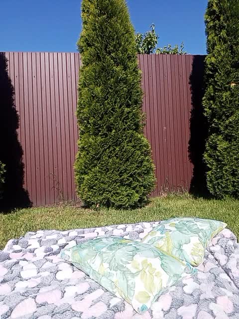 View or download file hairycrotch on 2023-06-14 from bongacams