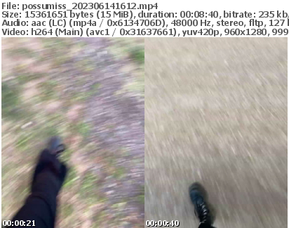 Preview thumb from possumiss on 2023-06-14 @ bongacams