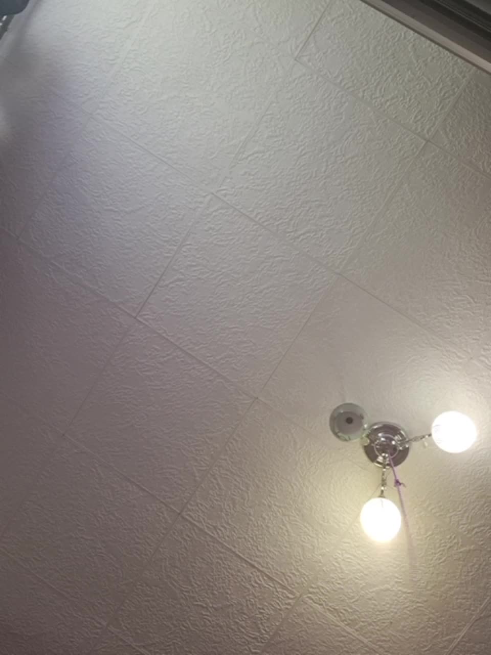 View or download file koks69a on 2023-06-15 from bongacams