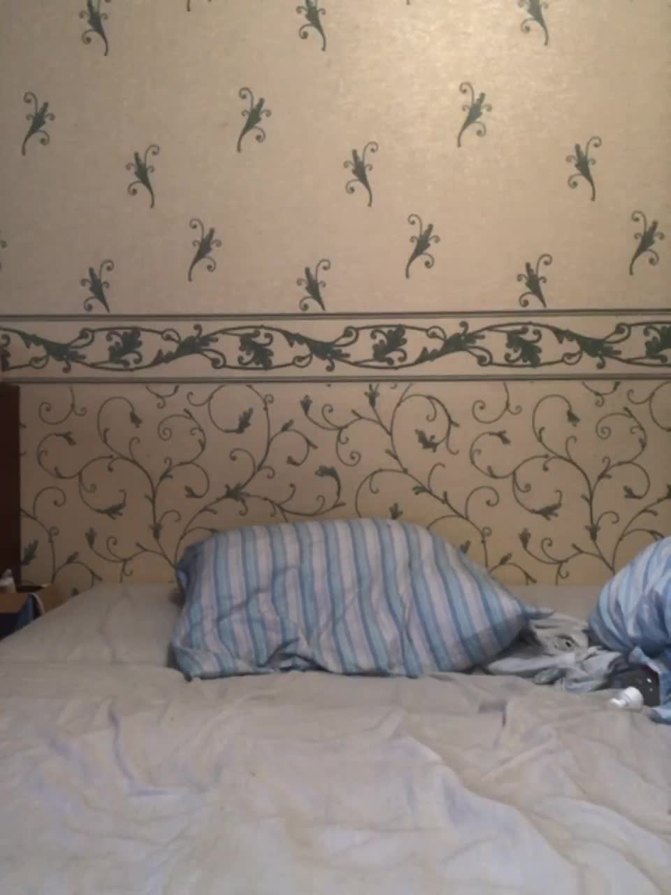 View or download file kittymb on 2023-06-16 from bongacams