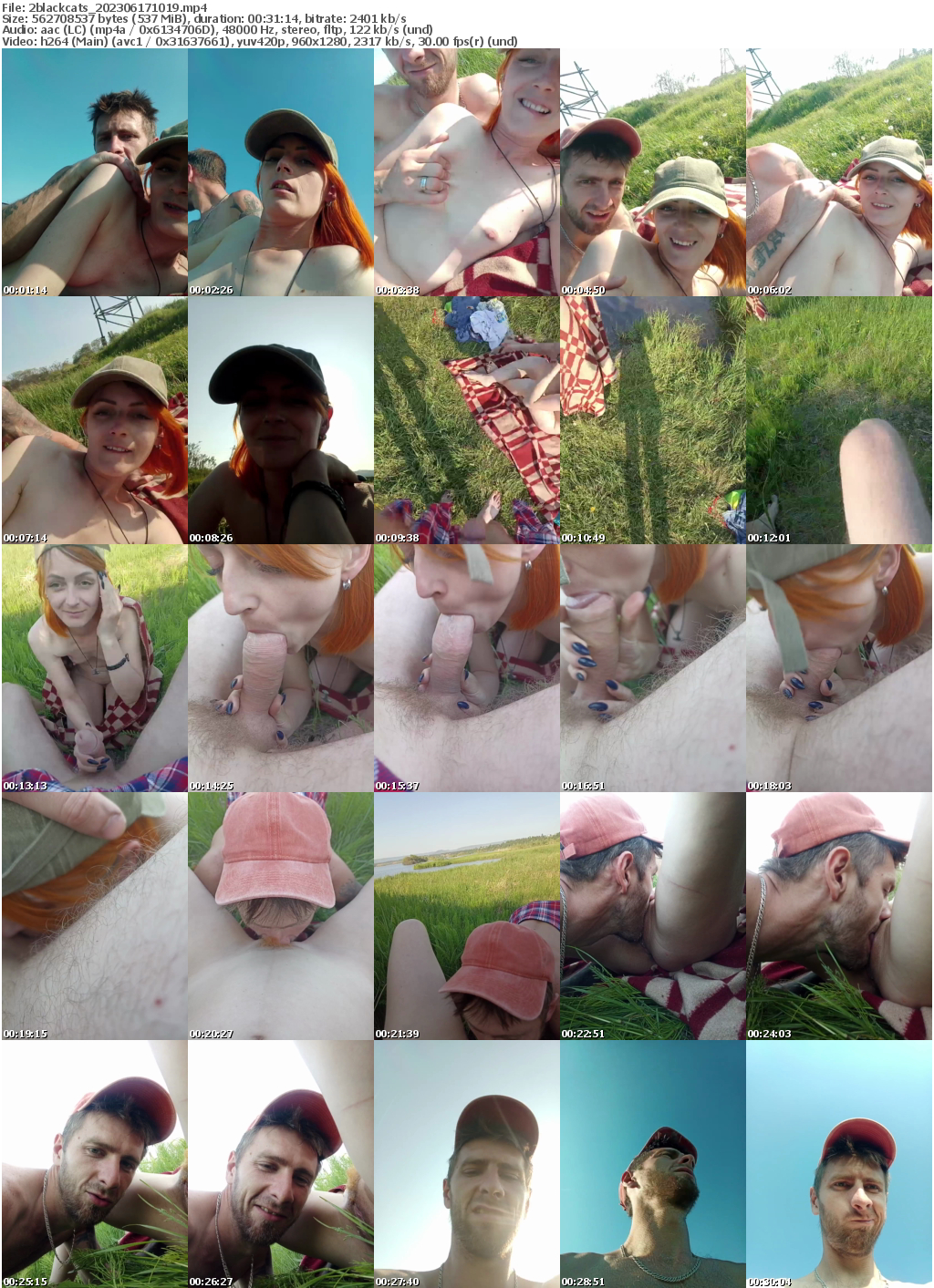 Preview thumb from 2blackcats on 2023-06-17 @ bongacams