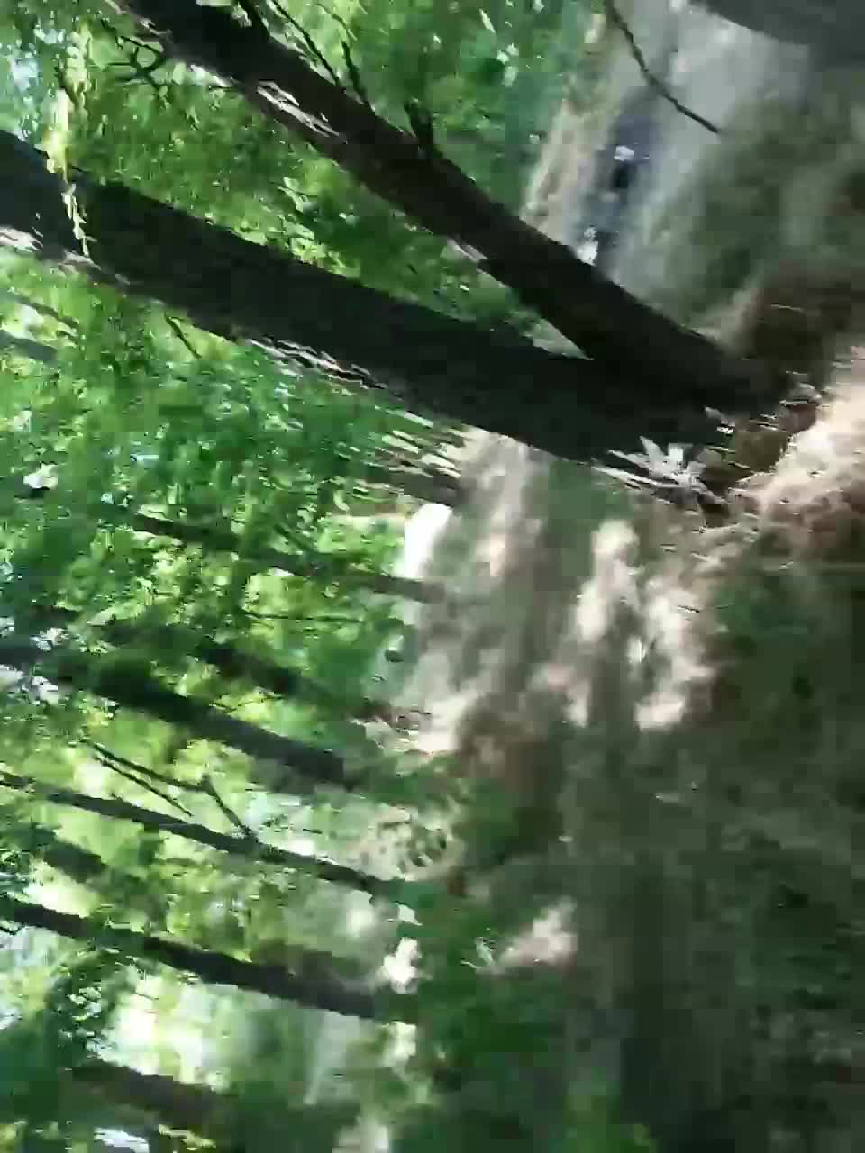 View or download file andyfoxgrand on 2023-06-17 from bongacams