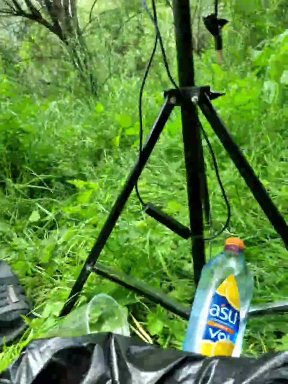 View or download file alisamiy on 2023-06-18 from bongacams