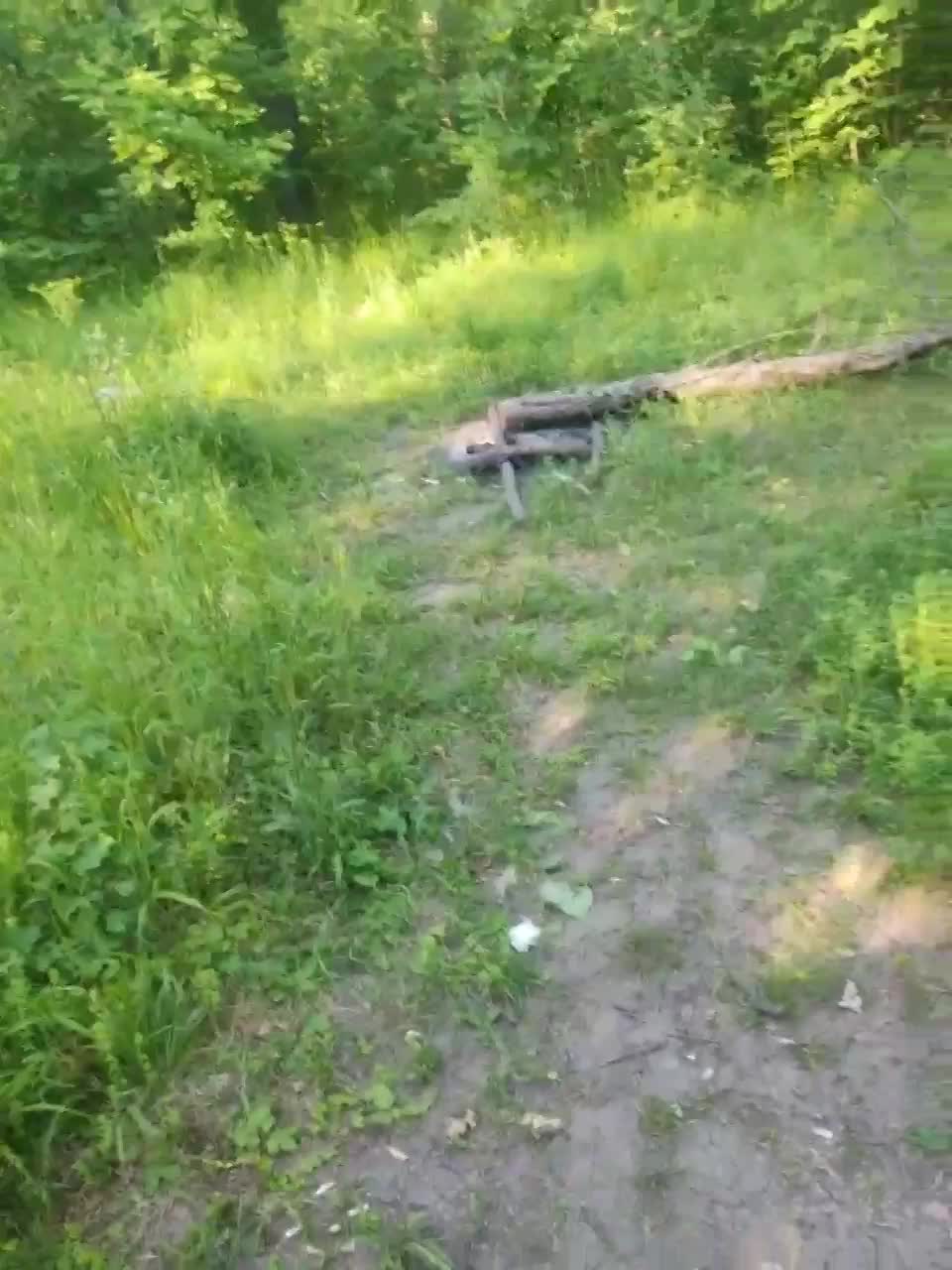 View or download file masya1996 on 2023-06-19 from bongacams