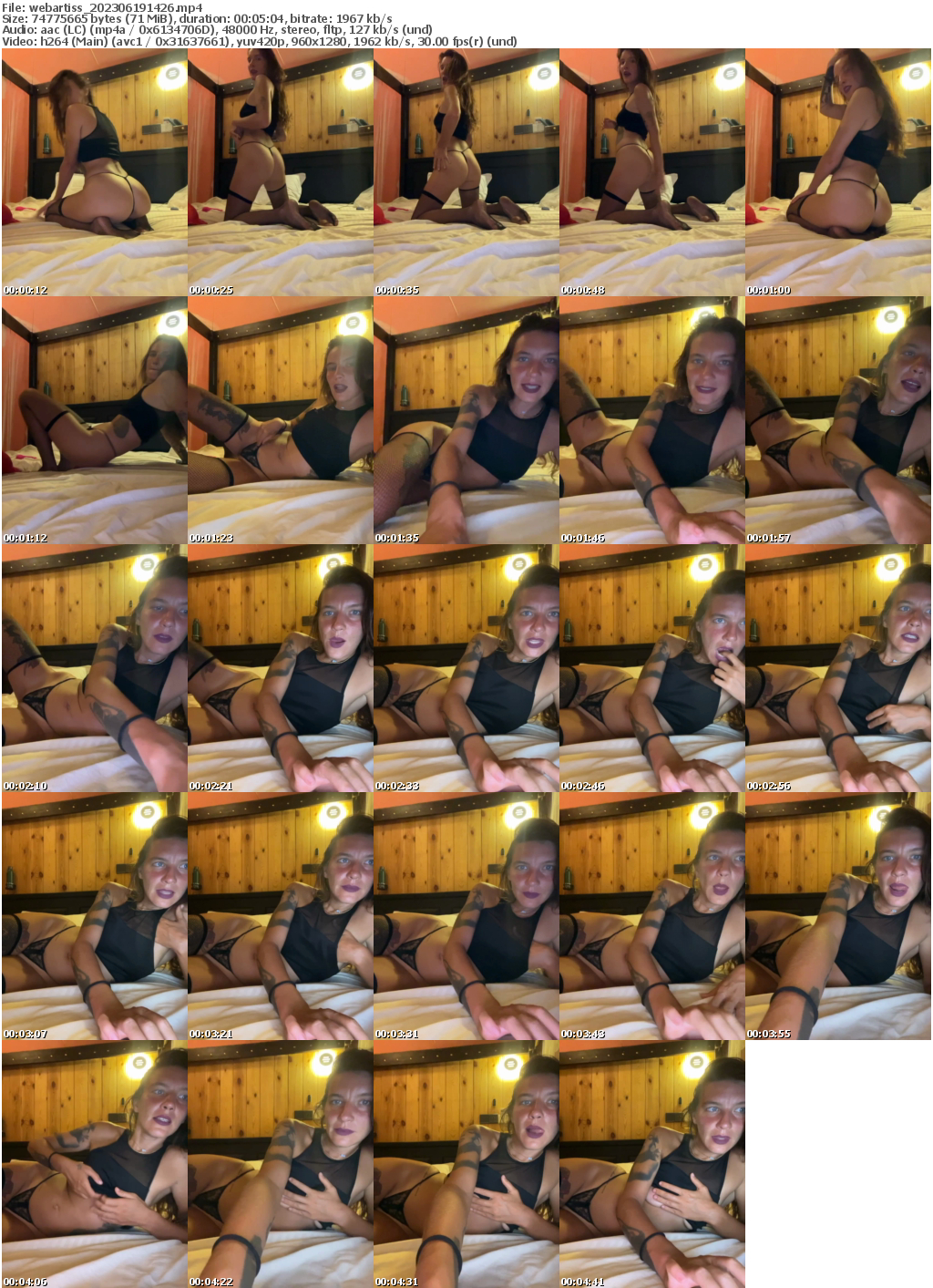 Preview thumb from webartiss on 2023-06-19 @ bongacams