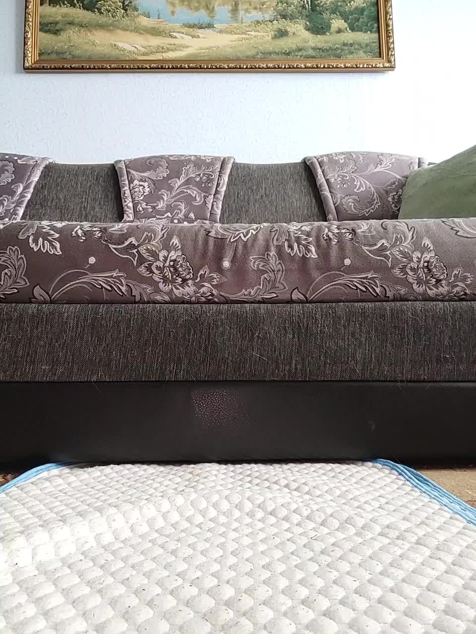 View or download file asiyaxoma on 2023-06-20 from bongacams