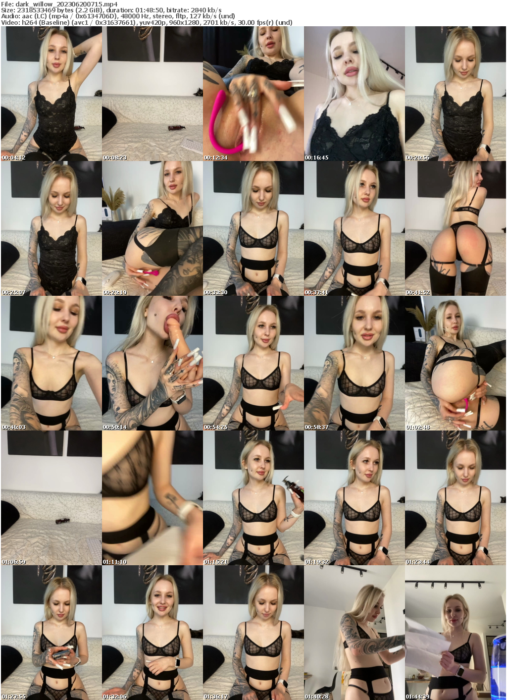 Preview thumb from dark_willow on 2023-06-20 @ bongacams