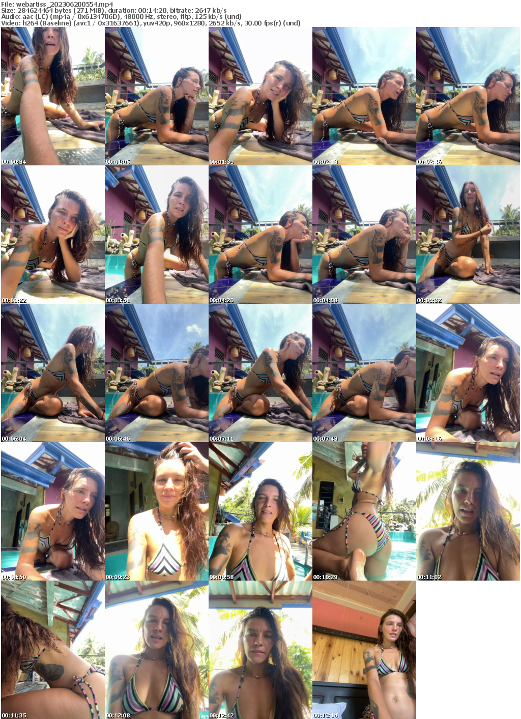 Preview thumb from webartiss on 2023-06-20 @ bongacams