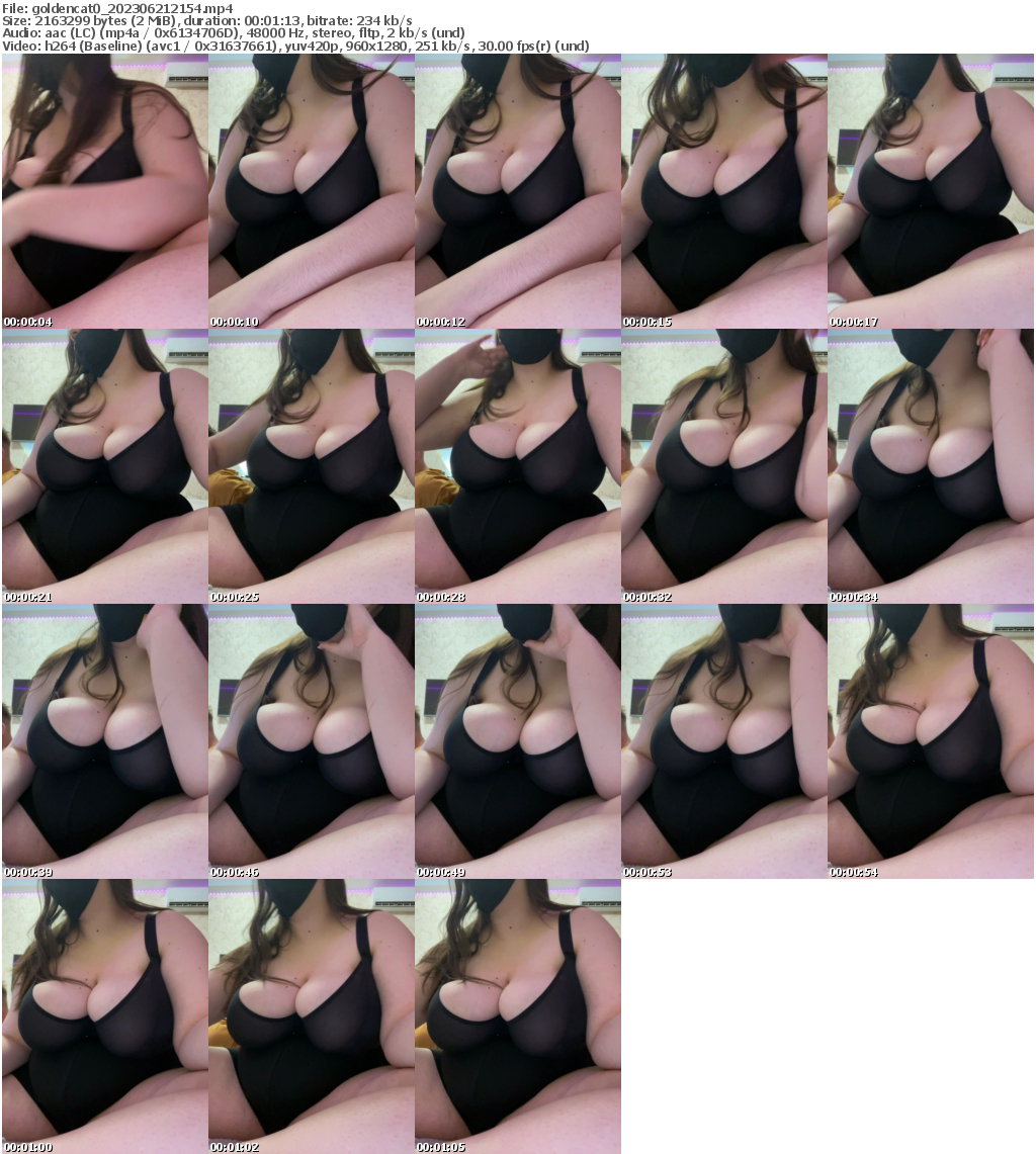 Preview thumb from goldencat0 on 2023-06-21 @ bongacams