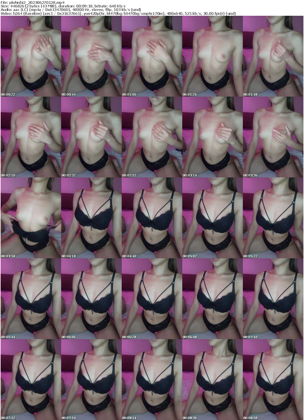 Preview thumb from plohishi2 on 2023-06-27 @ bongacams