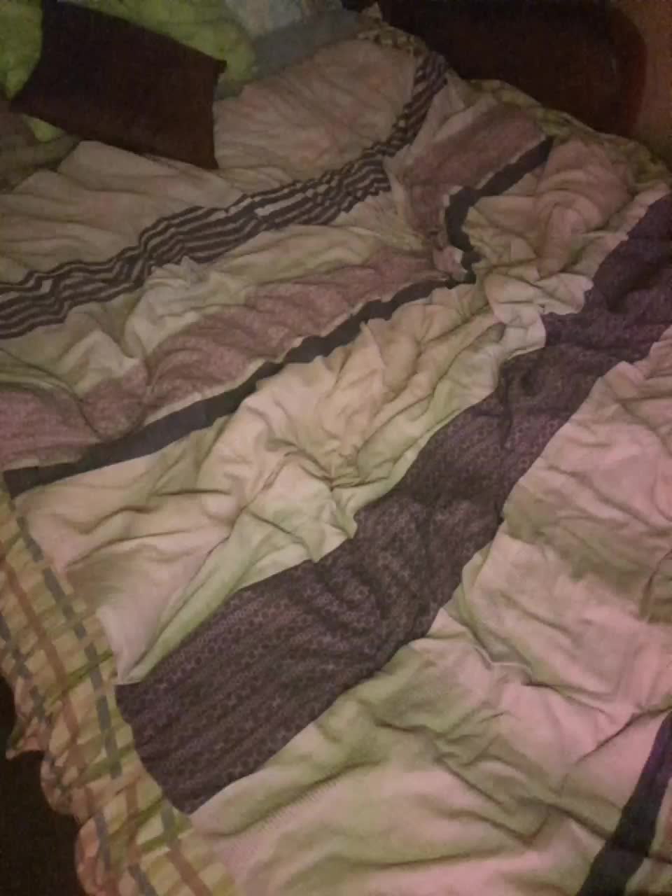 View or download file belsed on 2023-06-28 from bongacams