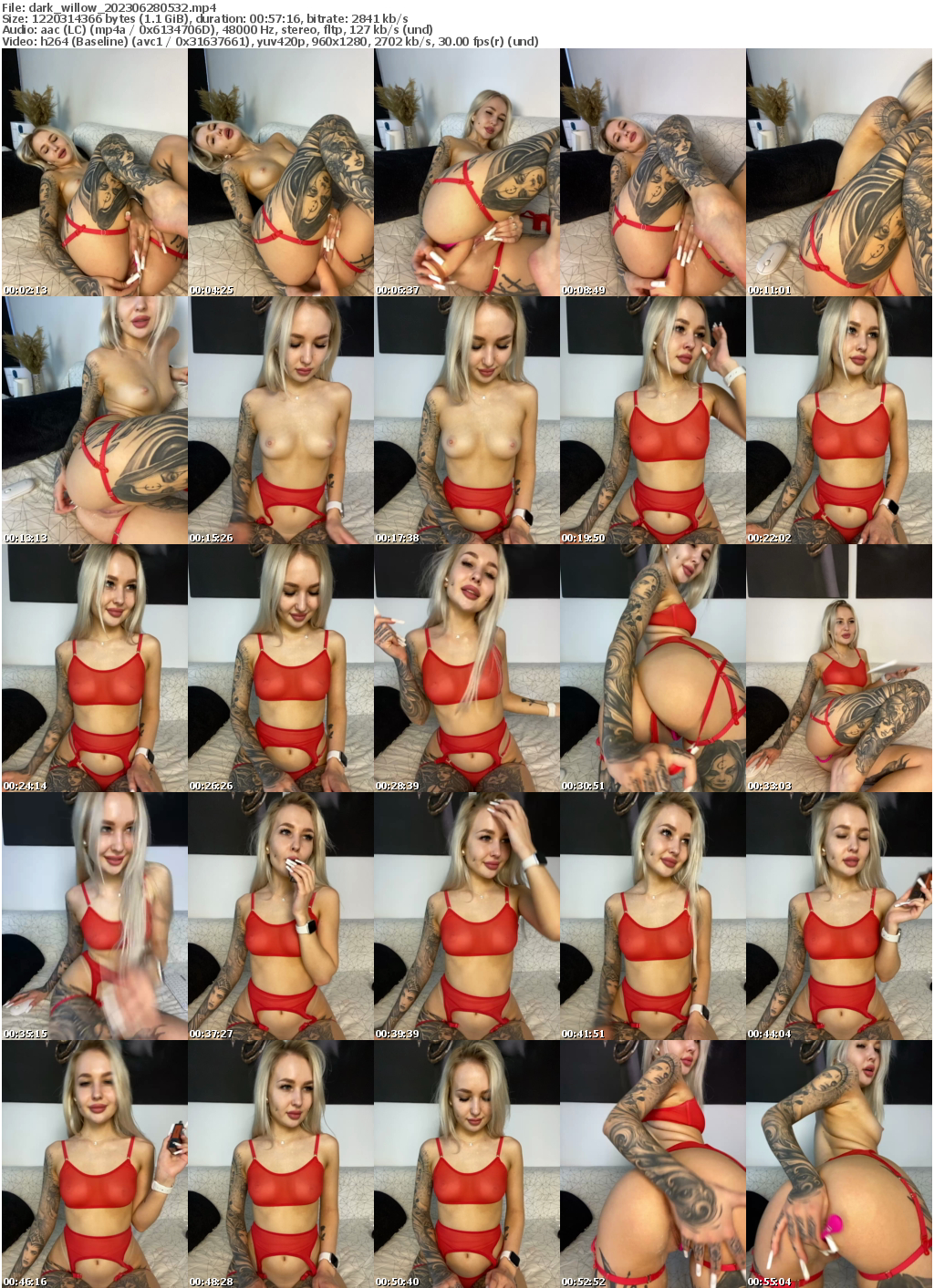 Preview thumb from dark_willow on 2023-06-28 @ bongacams