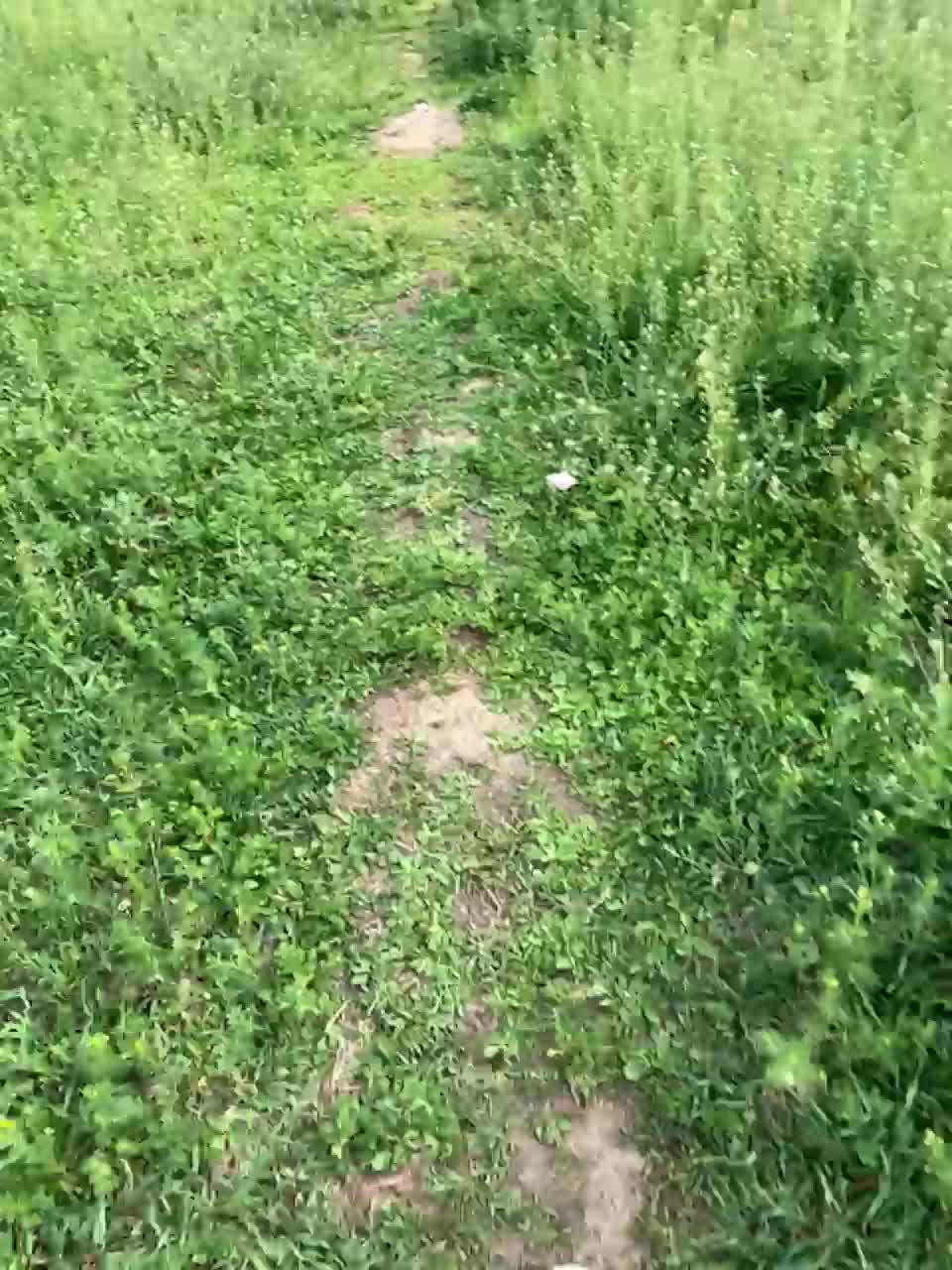 View or download file wow_eva on 2023-06-28 from bongacams