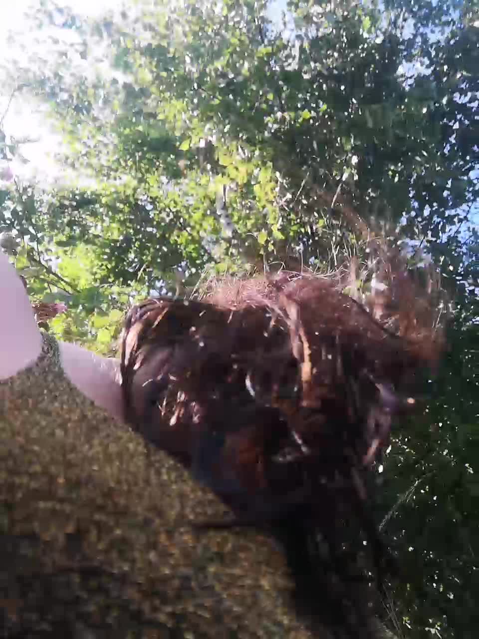 View or download file l4dycandy on 2023-06-29 from bongacams