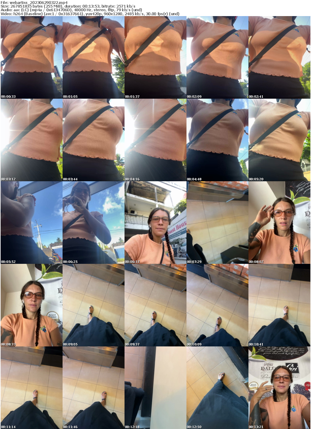 Preview thumb from webartiss on 2023-06-29 @ bongacams