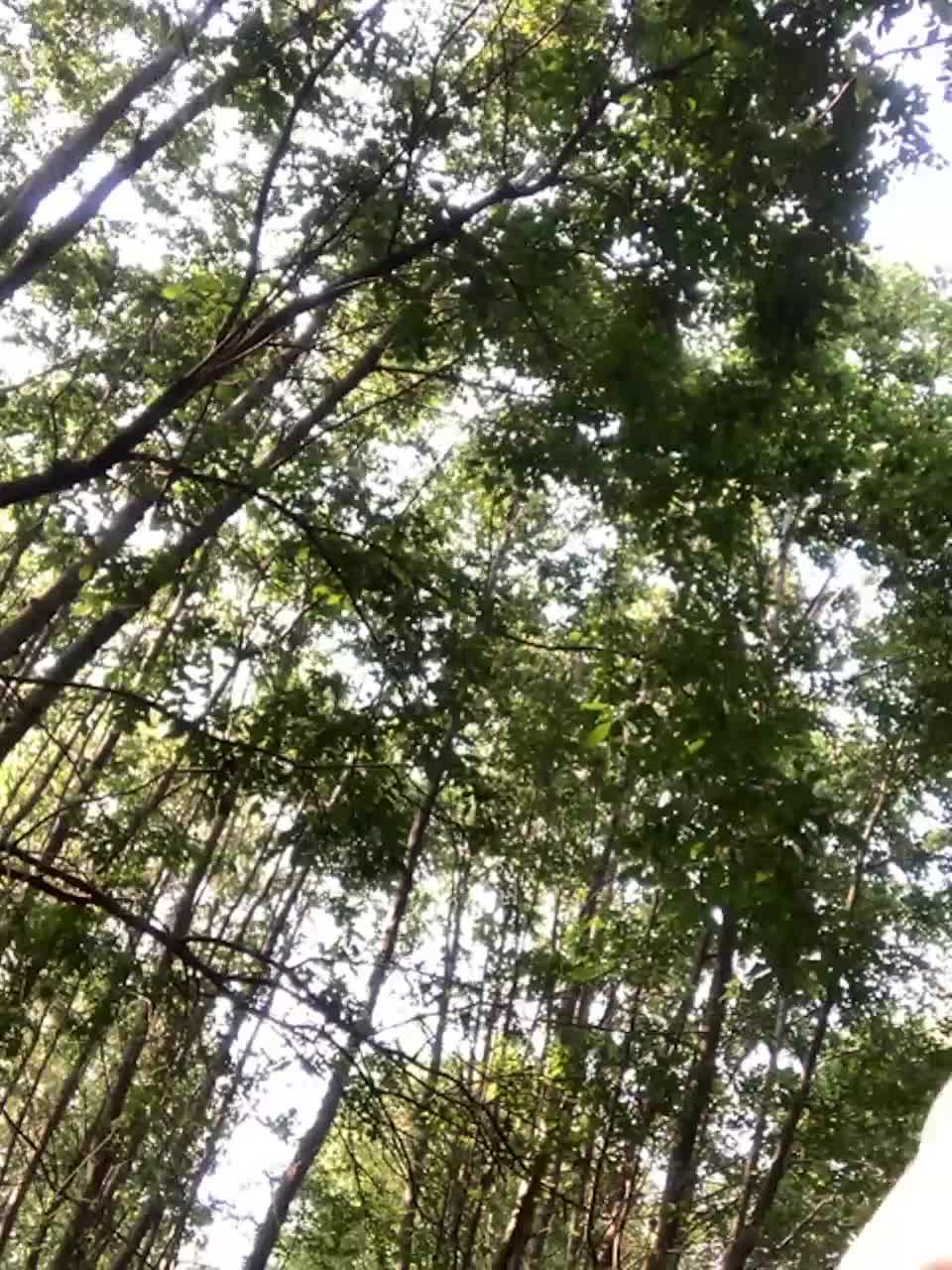 View or download file wow_eva on 2023-07-06 from bongacams