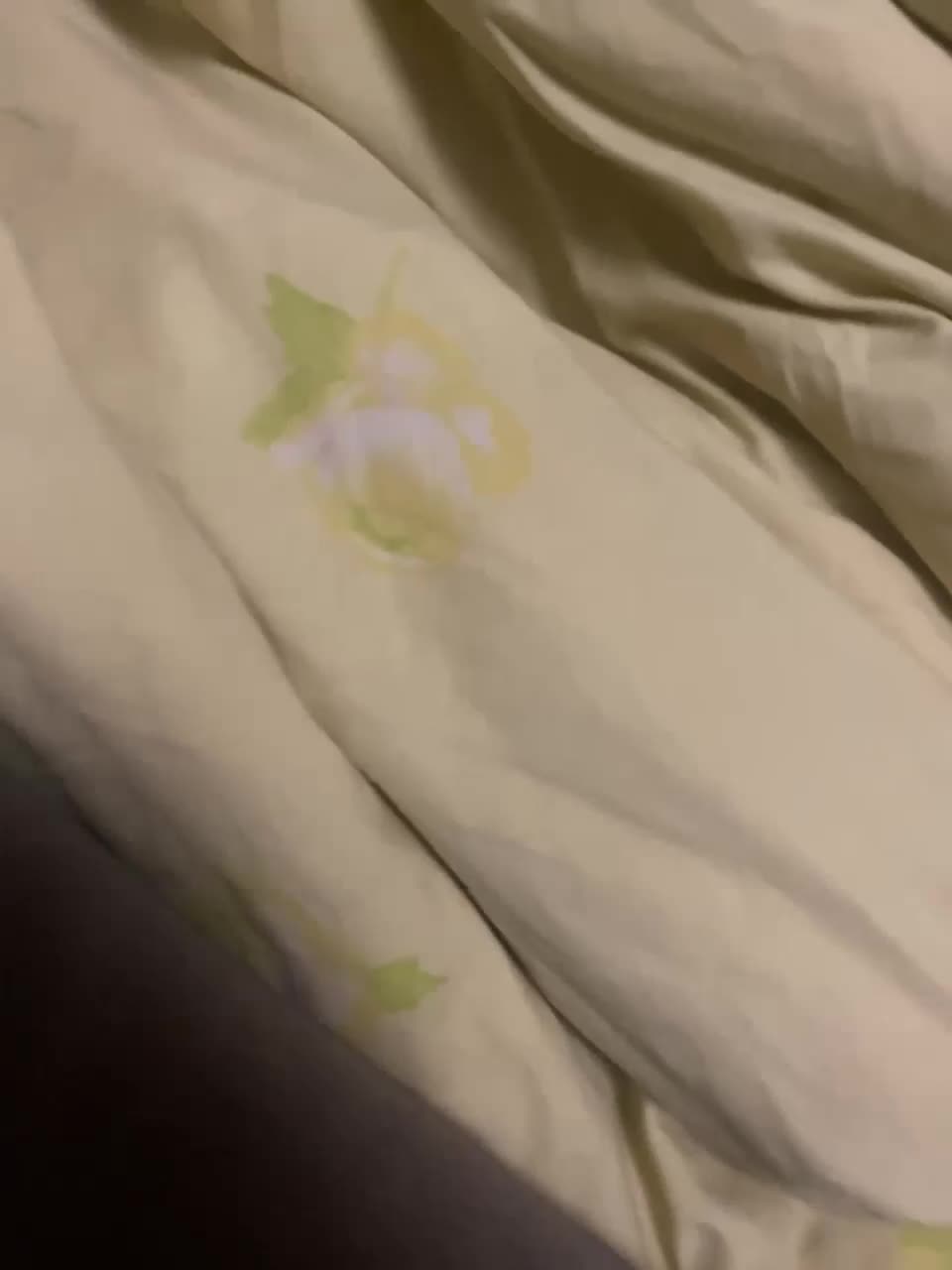 View or download file aloeloea on 2023-07-07 from bongacams