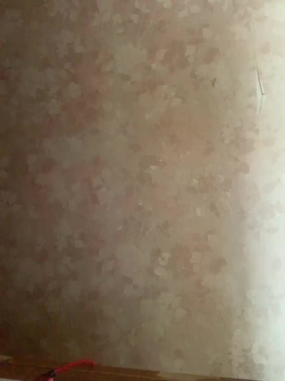 View or download file taylordirol on 2023-07-08 from bongacams