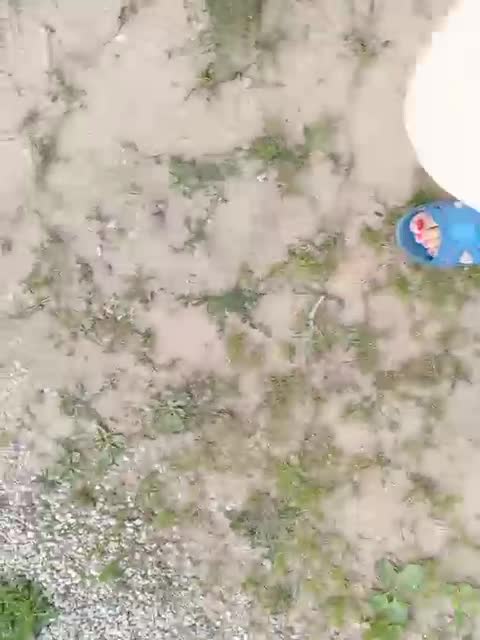 View or download file _alenyshka_ on 2023-07-10 from bongacams