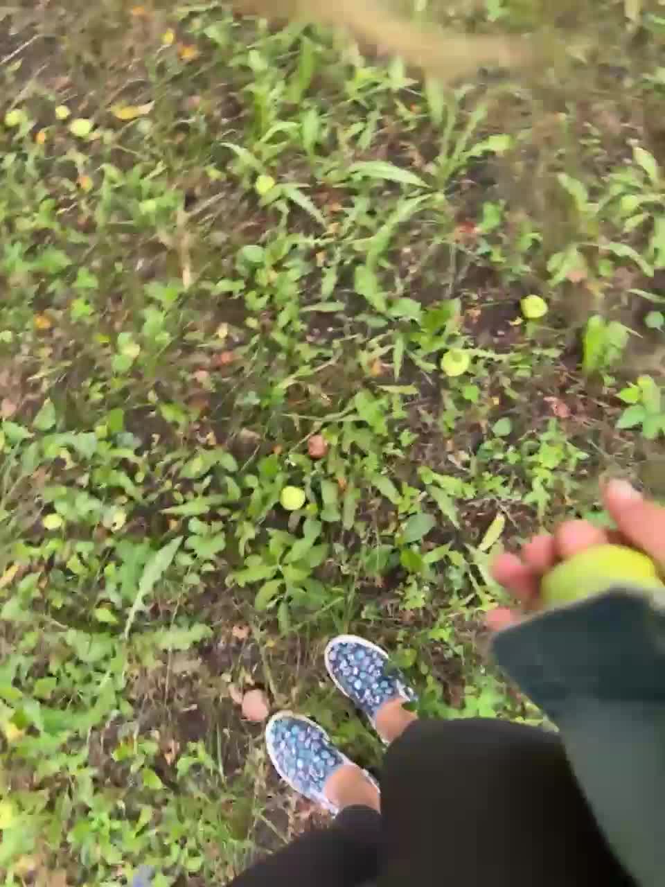 View or download file sweety_viki on 2023-07-11 from bongacams