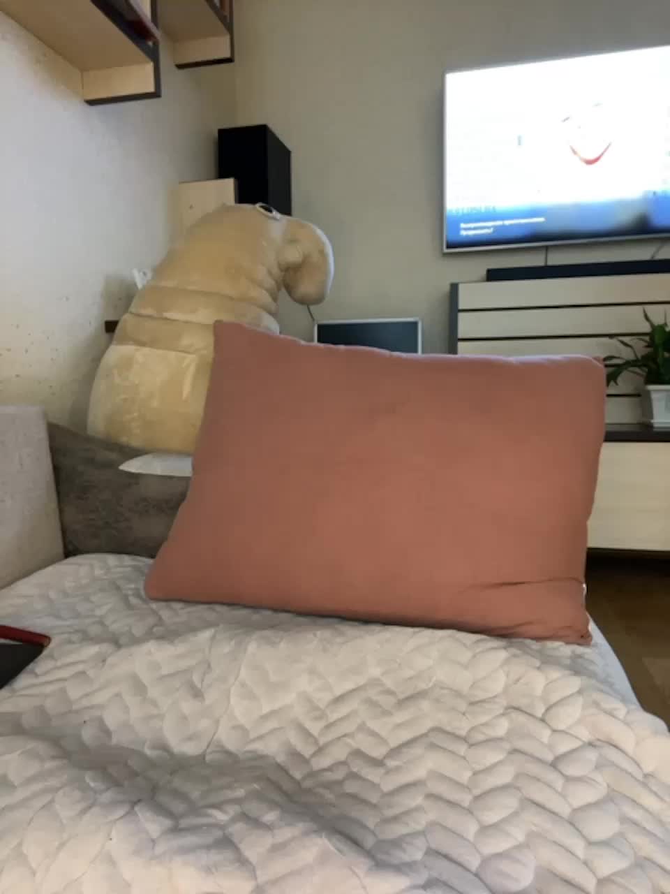 View or download file 1ouise on 2023-07-13 from bongacams