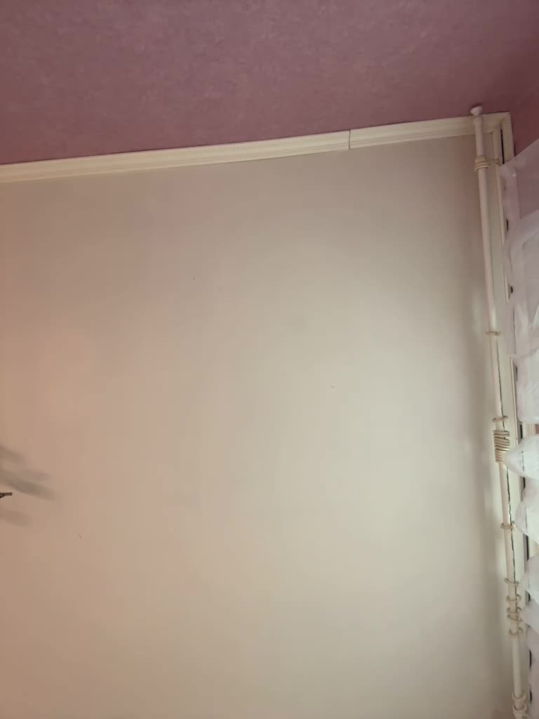 View or download file shawty420 on 2023-07-13 from bongacams