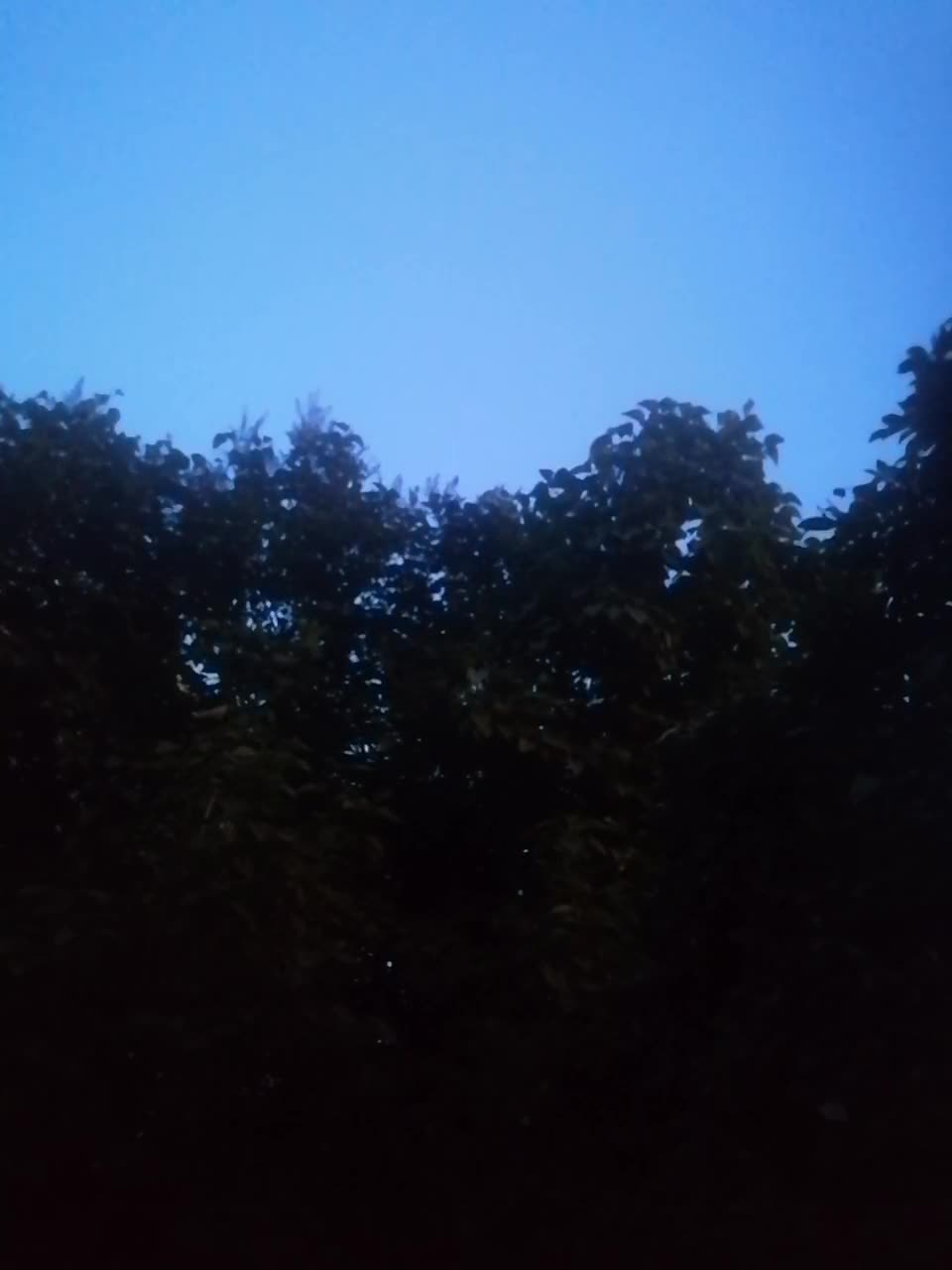 View or download file l4dycandy on 2023-07-16 from bongacams