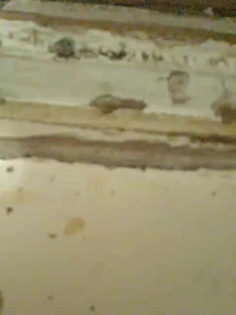 View or download file julia0114 on 2023-07-17 from bongacams