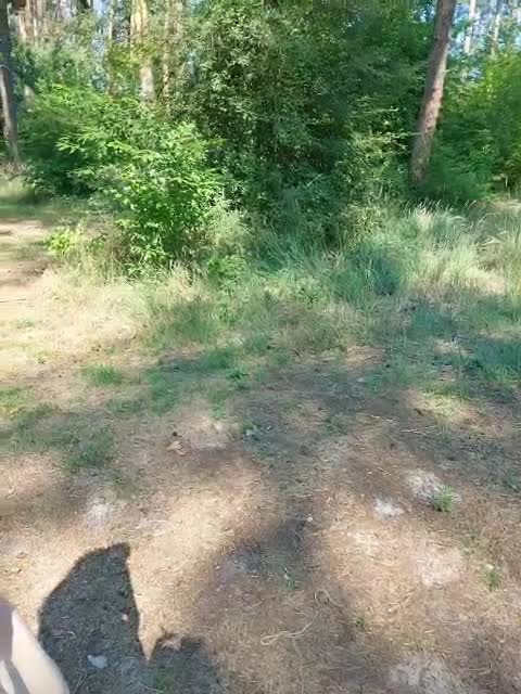 View or download file normanmash on 2023-07-17 from bongacams