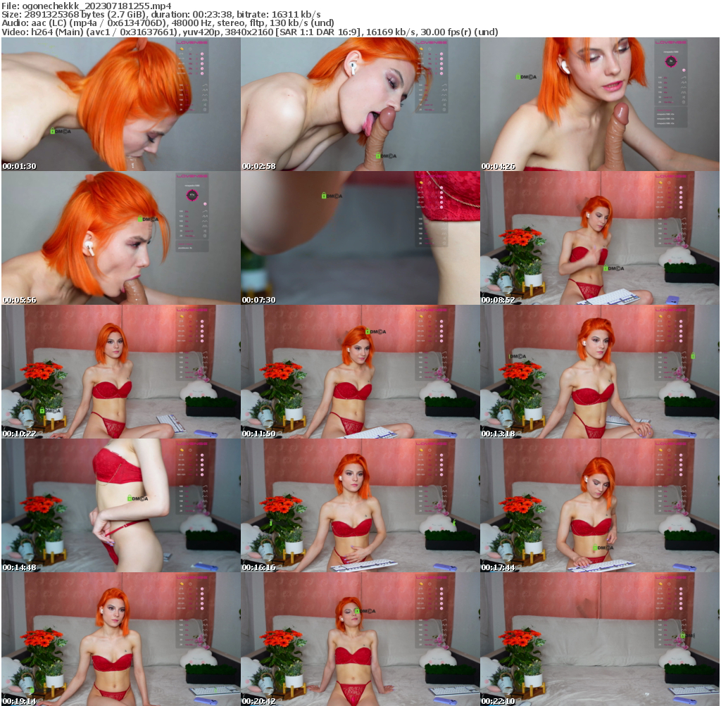 Preview thumb from ogonechekkk on 2023-07-18 @ bongacams