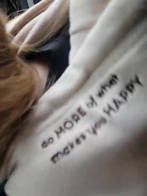 View or download file 8alexandra8 on 2023-07-19 from bongacams