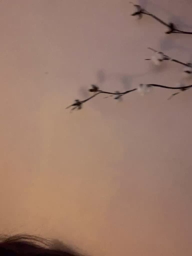 View or download file shawty420 on 2023-07-19 from bongacams