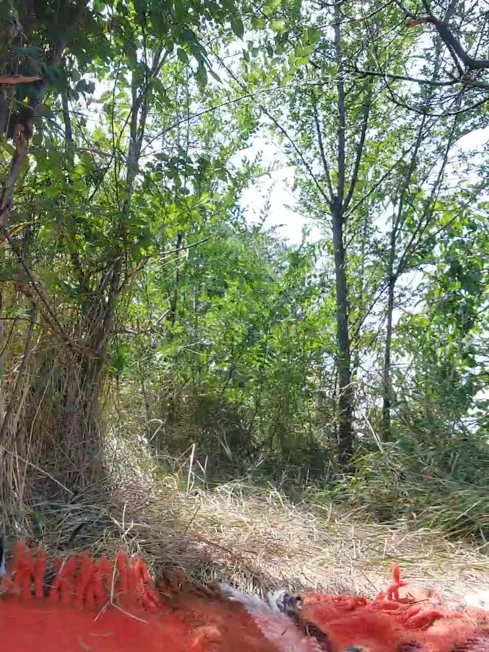 View or download file kkoketkaa on 2023-07-20 from bongacams