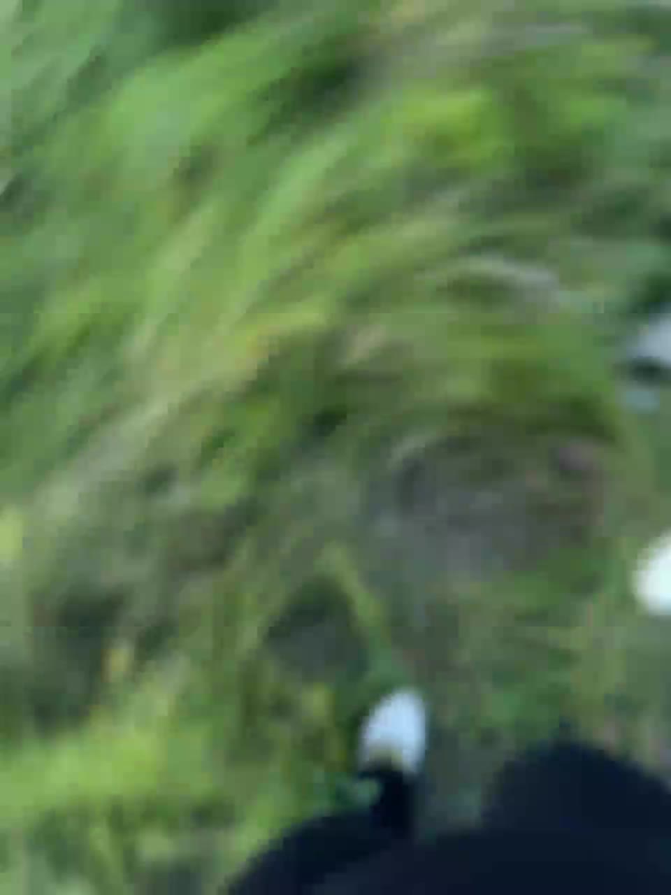 View or download file klensrus on 2023-07-20 from bongacams