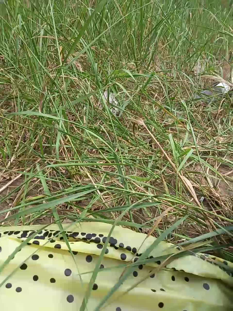 View or download file dimasik402 on 2023-07-24 from bongacams