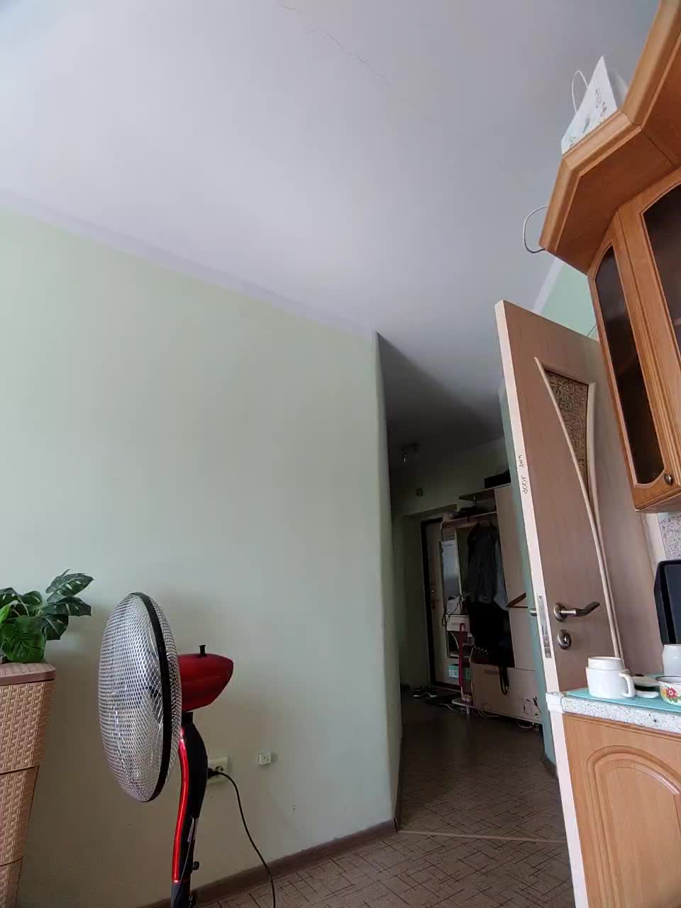 View or download file fox_hole on 2023-07-24 from bongacams