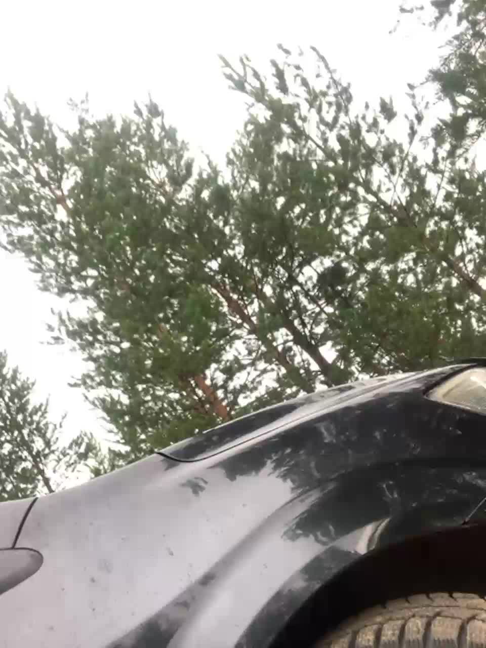 View or download file murkalux on 2023-07-24 from bongacams